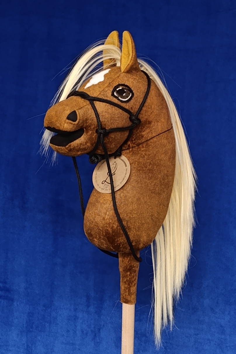 Pony César 